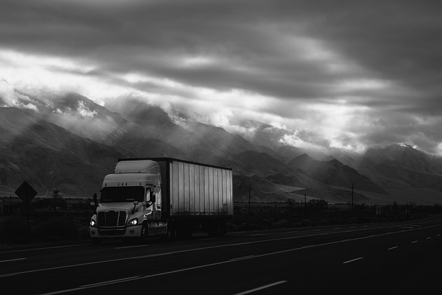 Navigating Startup Insurance: Truck, Cargo, & Liability Protection for Scalable Growth