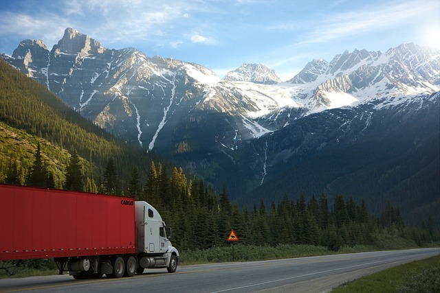 truck, trucking, truck driver