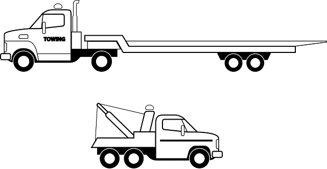 truck, trucking, truck driver