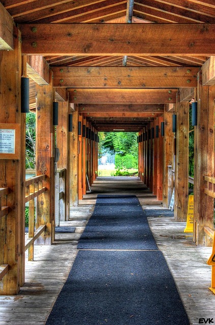 Durable Walkway Materials: Long-Lasting Paths for Garden and Backyard