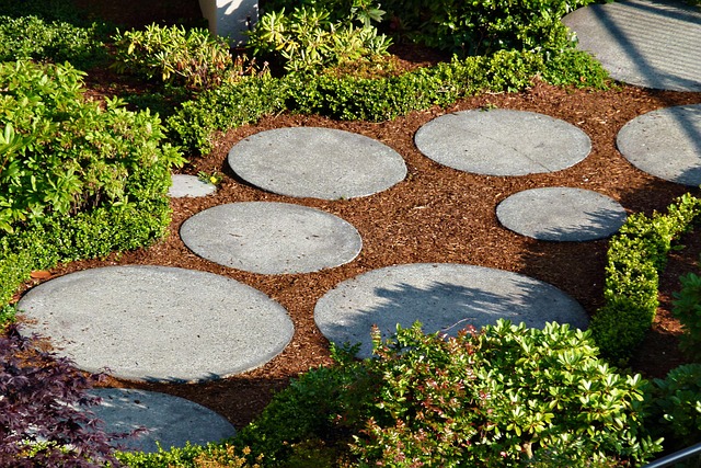 walkway, pathway