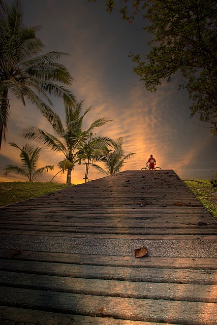 walkway, pathway