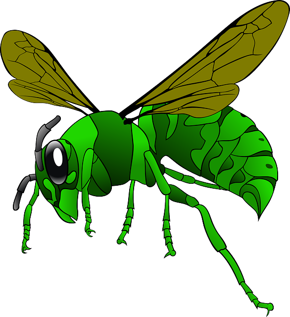 Tailored Wasp Control: Expert Solutions for Spaces of All Sizes