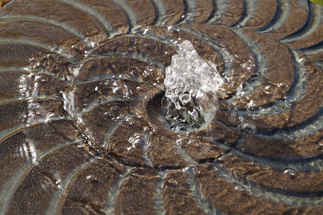 water feature, landscaping