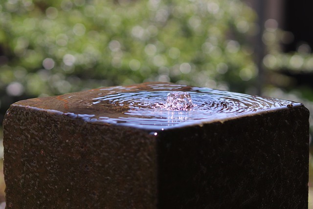 water feature, landscaping