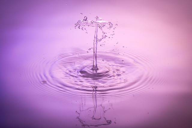 Integrate Stunning Custom Water Features with Your Landscaping Design