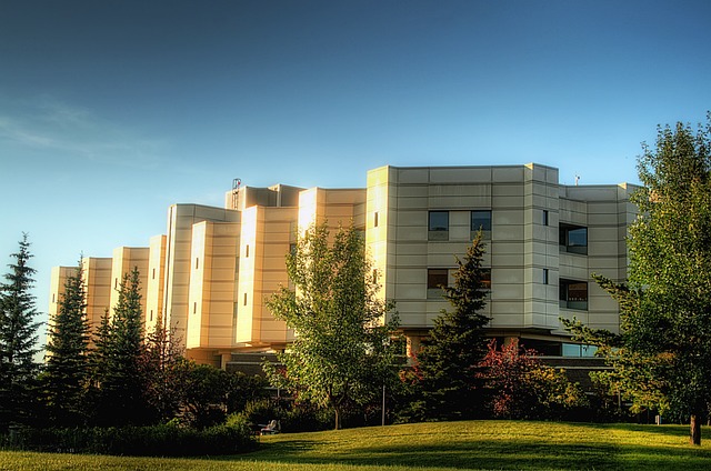 wellness center, clinic, hospital, therapy center, therapy