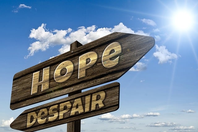 Personalize Your Wellness Journey: Holistic Regenerative Care for Optimal Health