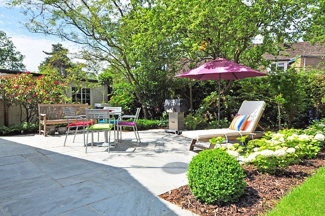 yard, landscaping