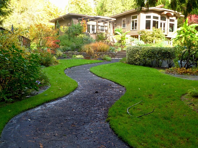 yard, landscaping