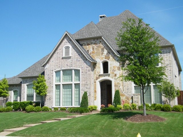 yard, landscaping