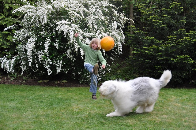 yard-landscaping-640x480-93153708.jpeg