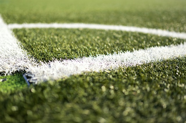 artificial grass, turf