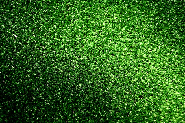 artificial grass, turf