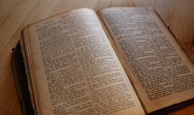 asset, wealth, properties, inheritance, will and testament