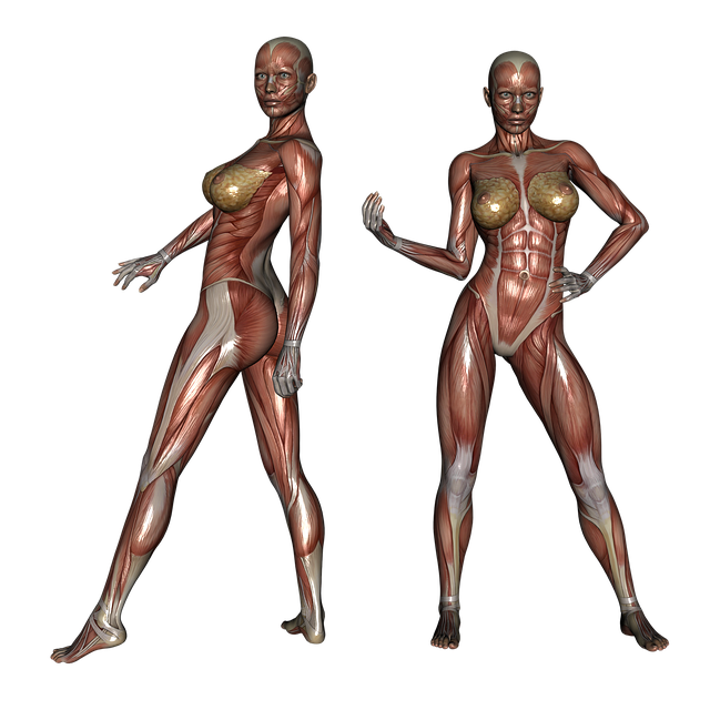Regenerative Sports Therapy: Accelerate Athletic Recovery with Targeted Treatments