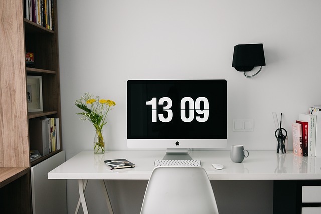 business license, law, lawyer, business, company