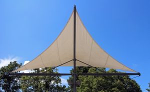 canopy-640x480-33920965.jpeg