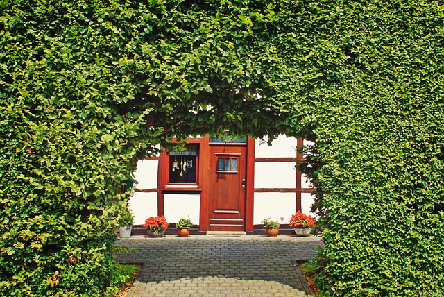 driveway