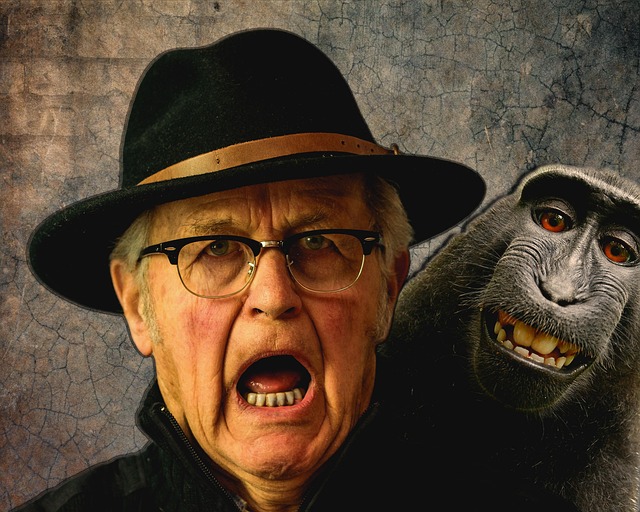 elder-people-senior-640x480-49263088.jpeg