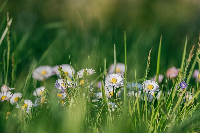 Master Budget Gardening: Grow More with Proven Thrifty Tips & DIY Ideas