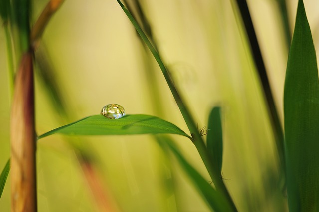 Unwind, Rejuvenate: Discover Tranquil Yoga & Meditation Retreats for Ultimate Self-Care