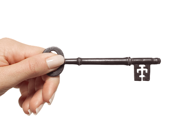 house, door lock, home security, home lock, apartment, condominium, surveillance