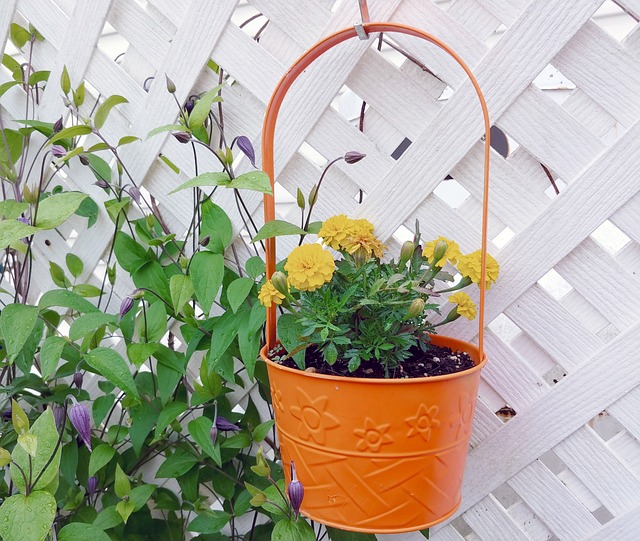 Revolutionize Outdoor Spaces: Proven Landscaping Designs for Efficient Water Use