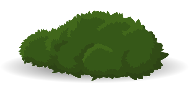 landscaping, garden