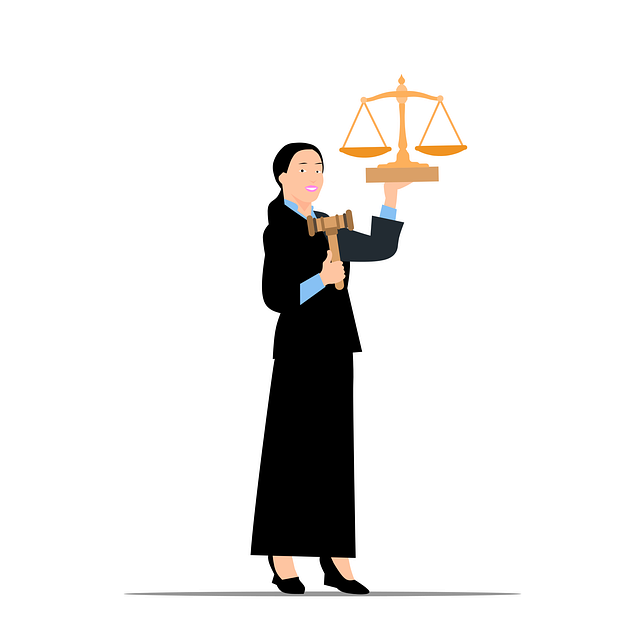 law, lawyer, wealth, properties