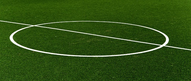 lawn-640x480-15221337.jpeg