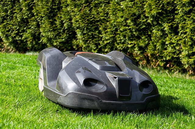 lawn