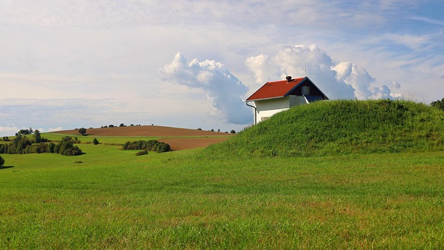 lawn