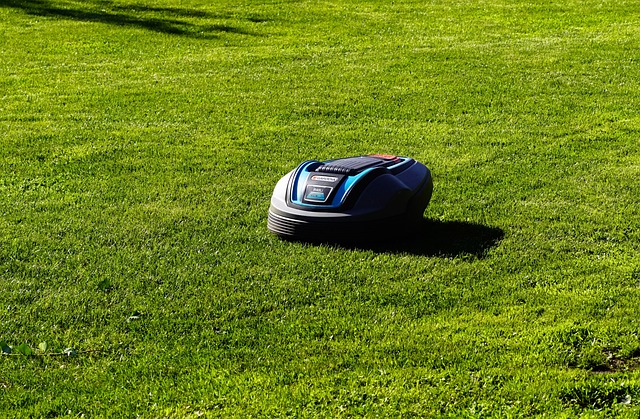 lawn