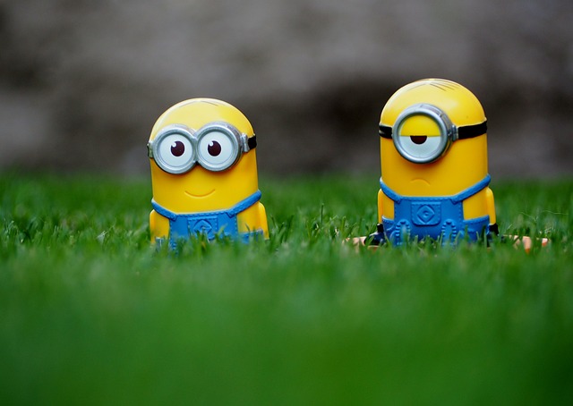 lawn