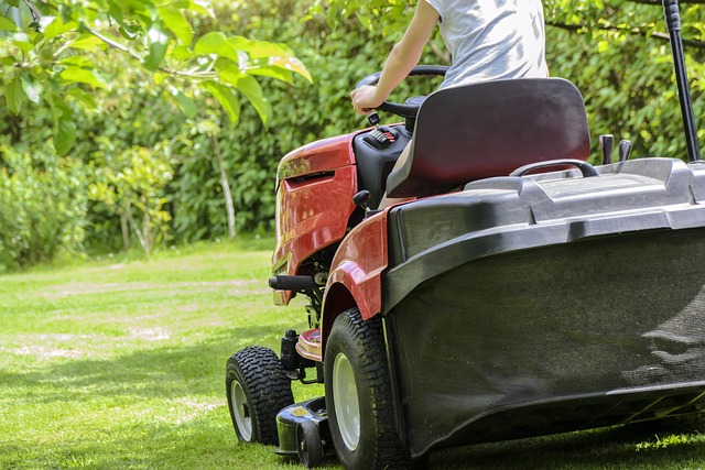 lawn-care-640x480-21483348.jpeg