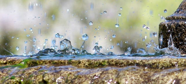 Incorporate Energy-Efficient Charm: Trusted Solar Water Features for Your Garden
