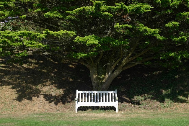 outdoor seating, outdoor seat