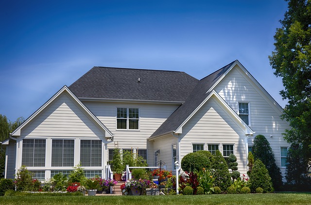 property, asset