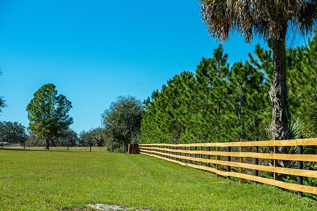 railing-640x480-19236212.jpeg
