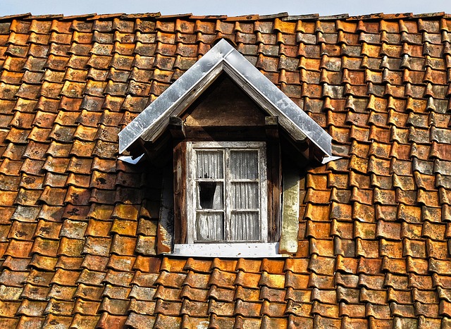 roof-640x480-21451524.jpeg