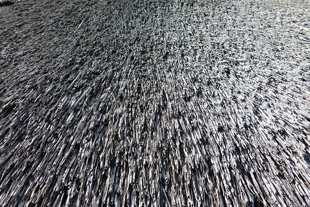 roof-640x480-32109907.jpeg