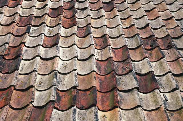 roof-640x480-88143634.jpeg