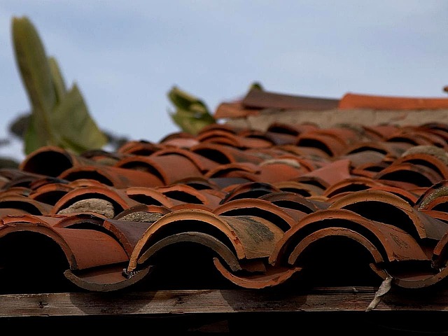 roof-roofing-house-roof-640x480-80312120.jpeg