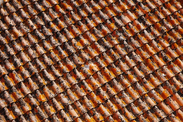 roof-roofing-house-roof-flat-roof-640x480-77010435.jpeg