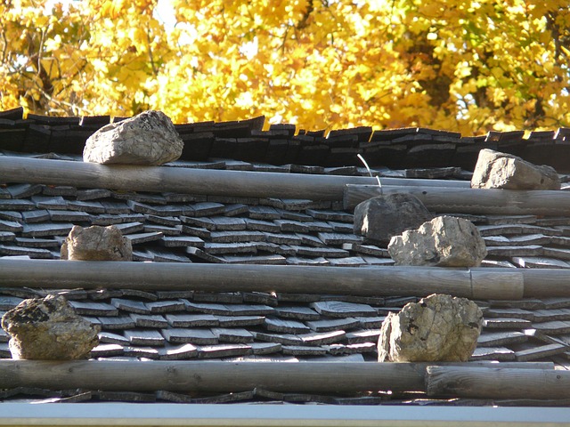 roof-roofing-shingle-roof-cedar-shake-640x480-6040180.jpeg