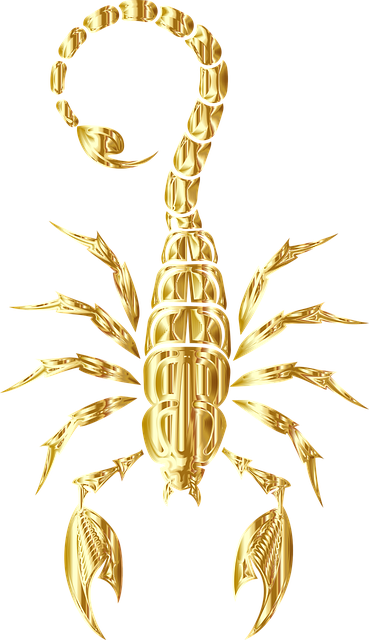 scorpion-640x480-24560666.png
