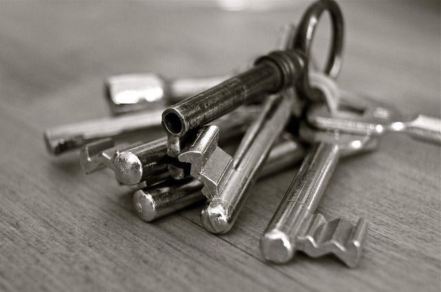security, surveillance, home security, physical security