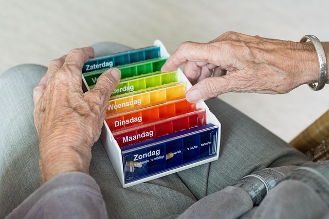 Planning for Dignity: Navigating End-of-Life Care and Legal Services