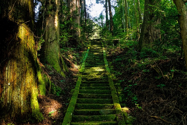 stair-640x480-33024644.jpeg